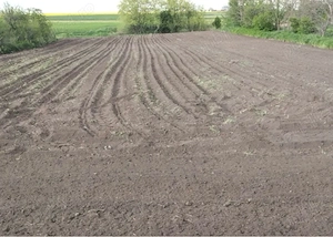 Vand casa in apropiere de Buzau si Ramnicu Sarat  - imagine 3