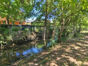 Casă BĂCIA 80 mp + teren 1400 mp, curent trifazic, apă, gaz, canal - imagine 4