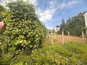 Casă ultracentrală din cărămidă-800 mp teren- necesita renovare - imagine 3