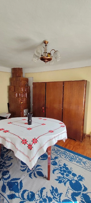 Casă de Vânzare în Sat Valea Nehoiului  - imagine 5