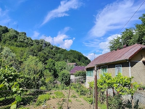 Casă de Vânzare în Sat Valea Nehoiului  - imagine 2