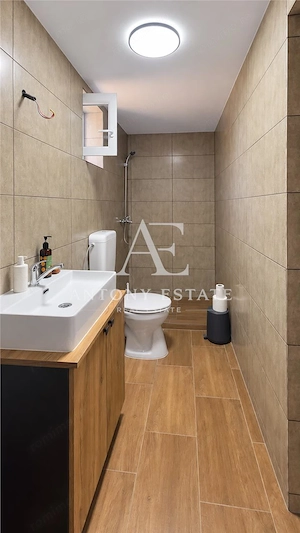 Casa   Business Diosig - Proprietate 72 mp | Teren 2.877 mp |  Bihor - imagine 4
