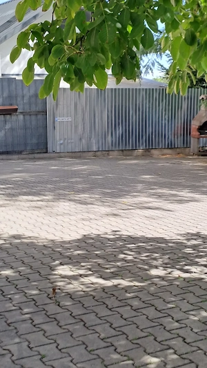 PF vând apartament 44 mp + parcare + boxă   Cluj-Napoca, Bună Ziua (zona Lidl) - imagine 9