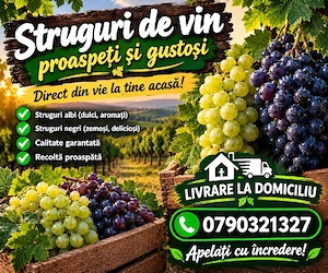 struguri de vin 
