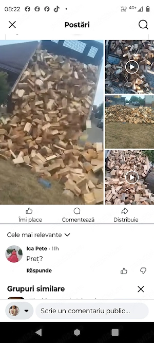 Lemne de foc 