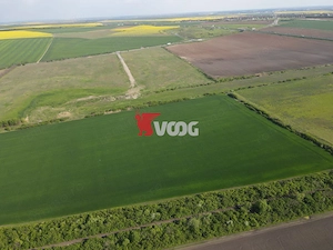 Teren extravilan 10 ha -Giarmata, lângă nodul de autostradă - imagine 4
