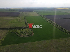 Teren extravilan 10 ha -Giarmata, lângă nodul de autostradă - imagine 2