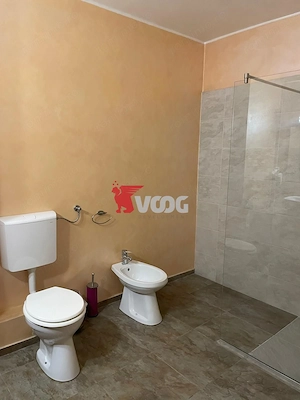 Apartament 1 cameră de închiriat – 50 mp /Zona Complex- Bălcescu - imagine 6