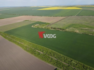 Teren extravilan 10 ha -Giarmata, lângă nodul de autostradă