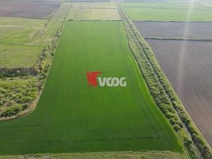 Teren extravilan 10 ha -Giarmata, lângă nodul de autostradă - imagine 5