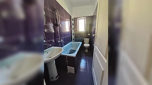 Casa de inchiriat in Gruia - imagine 11