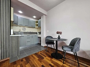 De inchiriat apartament 1 camera pe strada Ciprian Porumbescu