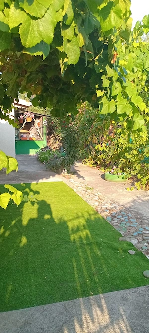 Închiriez casa! - imagine 5