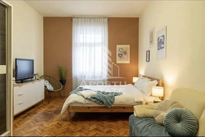 Apartament 2 camere de inchiriat, Pet friendly, P-ta VICTORIEI Timisoa - imagine 4