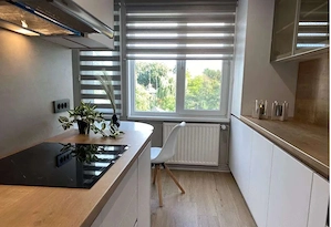 Apartament cu 2 camere, deosebit, in centrul orasului, spre inchiriere - imagine 2