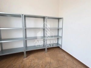 Casa individuala de vanzare, Beregsau Mare, Judet Timis - imagine 10