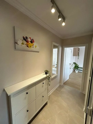 Apartament cu 2 camere, 41 mp utili, complet renovat - Iosefin - imagine 12