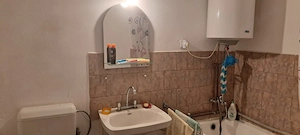 Casa de vanzare in Mailat - imagine 8