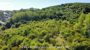 TEREN LANGA ORAS, CADRU NATURAL MINUNAT - imagine 6