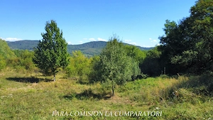 TEREN LANGA ORAS, CADRU NATURAL MINUNAT - imagine 9