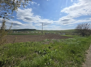 proprietar vand teren intravilan 11.750 mp com. Traian jud. Bacau - imagine 2