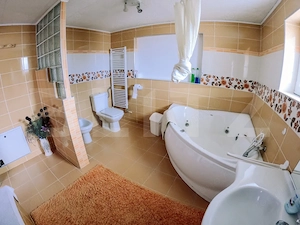 Pensiune / casă de vacanță cu 7 dormitoare, piscină și curte – Ivănești - imagine 3