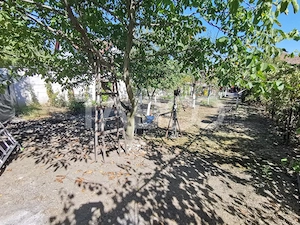 Casa individuala cu 5 camere si 687 mp teren in zona Lazaret - imagine 7