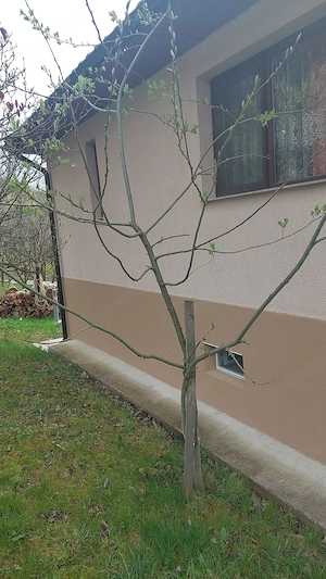 Casa de vanzare