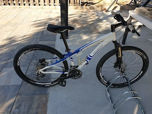 Bicicleta Specialized MTB