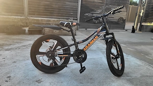 Bicicleta marca Caraiman