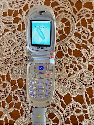 Samsung SGH-X450