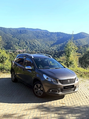 Vand Peugeot an 2017