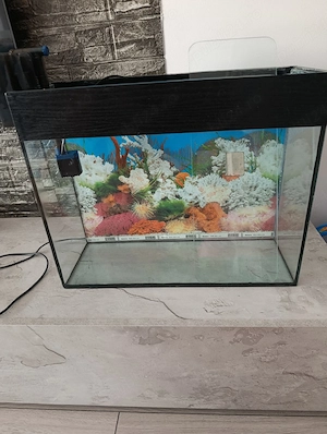 acvariu cu capac si filtru  - imagine 2