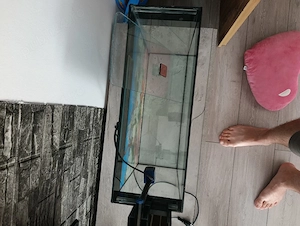 acvariu cu capac si filtru 