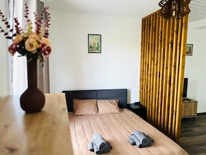 Proprietar inchiriez apartament!  - imagine 7