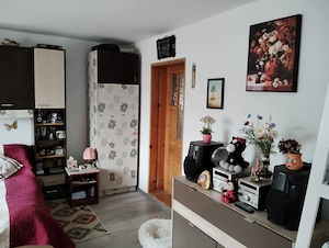 Vând casă din cărămidă cu 13.000 mp teren în Stanita județul Neamț  - imagine 4
