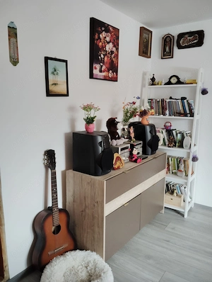 Vând casă din cărămidă cu 13.000 mp teren în Stanita județul Neamț  - imagine 2