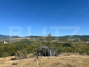 Căsuță de weekend cu livadă de 3.000 mp – Bărsău, 10 minute de Deva - imagine 8