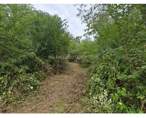 Vand teren Hintesti, 4 km de Pitesti - imagine 4