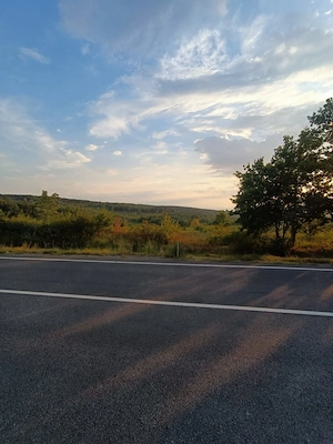 Teren 5.755 MP, Hidișelu de Sus, Bihor - imagine 2