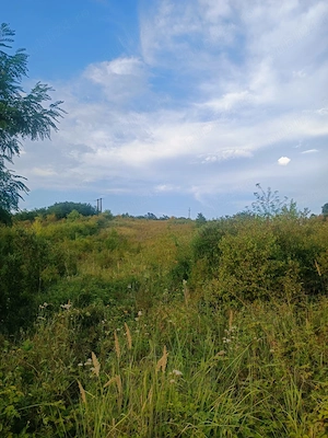 Teren 5.755 MP, Hidișelu de Sus, Bihor - imagine 4