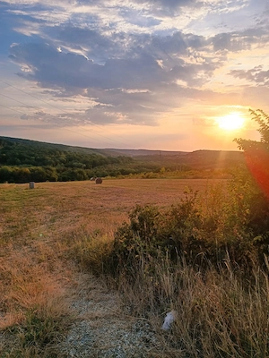 Teren 5.755 MP, Hidișelu de Sus, Bihor - imagine 8