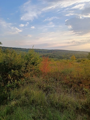 Teren 5.755 MP, Hidișelu de Sus, Bihor - imagine 6