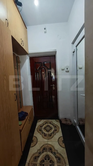 Apartament cu 2 camere,semidecomandat ,zona Rogerius - imagine 10