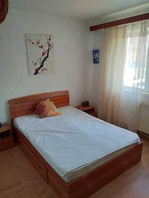 vand apartament 3 camere etajul 1, aleea muncii slatina - imagine 6