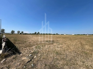 Teren industrial de vânzare – 19.944 m² - Ocna Sibiului - imagine 4