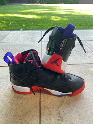 Jordan Air Jumpman "Raptors"
