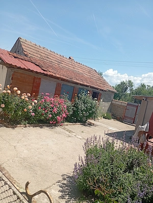 Casa cu curte și livada - oportunitate pentru o viață liniștită la țară 