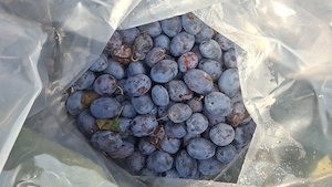 Vand prune de tuica