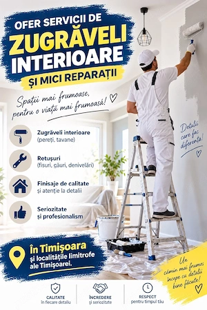 Zugrav în Timișoara 